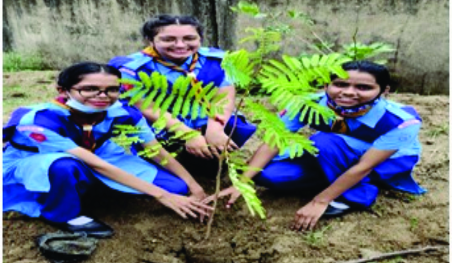 SOCIAL RESPONSIBILITY